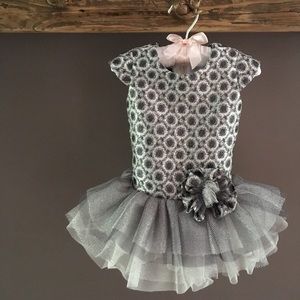 NWOT Fancy Baby Dress